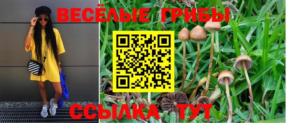 Галлюциногенные грибы Psilocybine cubensis  Вход с VPN  Майкоп 