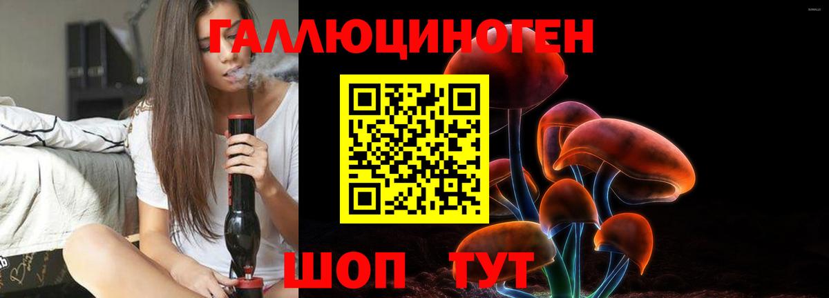 Псилоцибиновые грибы мицелий Майкоп